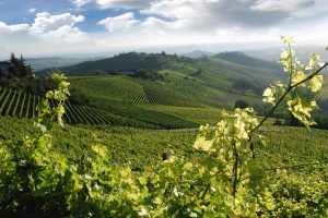 La Toscana del vino e del cibo al top per i turisti del mondo, anche sui social media La Toscana del vino e del cibo al top per i turisti del mondo, anche sui social media