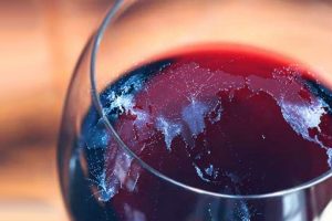 Wine and exports started with an encouraging +7.9% in 2019 of Italy in world markets Wine and exports started with an encouraging +7.9% in 2019 of Italy in world markets
