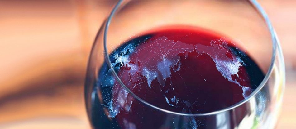 I primi 11 mesi 2019 delle esportazioni di vino italiano nel mondo