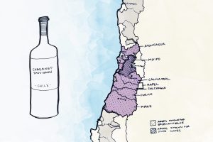 La Gran Bretagna pensa al futuro: produzione enoica ai massimi storici e accordo con il Cile