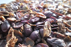 Trasformare gli scarti in risorsa? Si pu&ograve; grazie a batteri e a celle elettromicrobiche