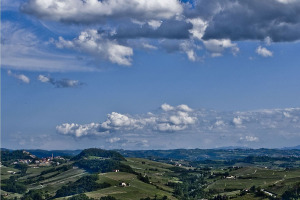 I Quaderni di WineNews - Il Barolo