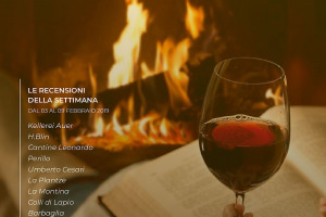 I Vini di WineNews - N. 35