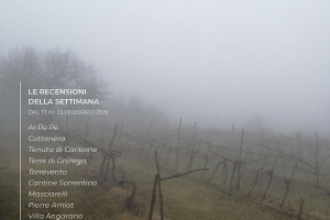 I Vini di WineNews - N. 37