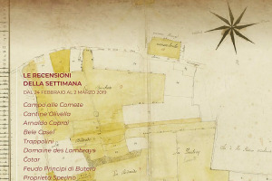 I Vini di WineNews - N. 38