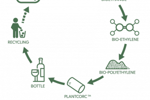 Sustainability is becoming increasingly important, from the vineyard to the bottle and to the cork