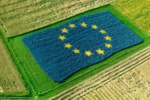 Pac, facciamo ordine: -15% di stanziamenti per il periodo 2022-2028, 34 miliardi di euro all’Italia