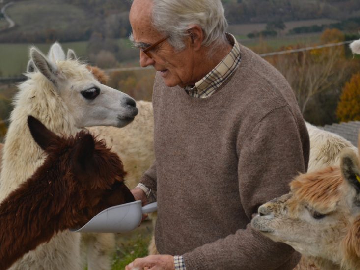 Gianni Berna, proprietario dell’azienda Maridiana Alpaca, il primo allevamento di alpaca in Italia, che ha costruito una filiera completa dell’agro-tessile