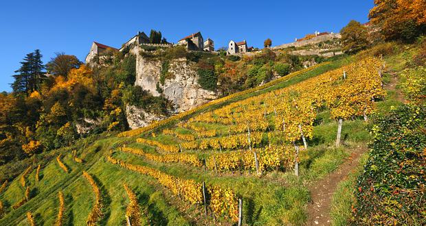 Jura, i filari sui terrazzamenti