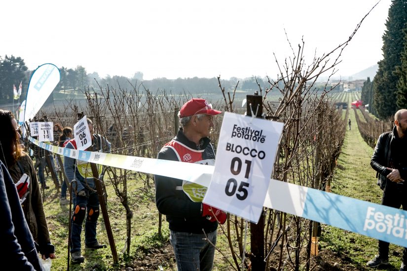 I concorrenti si preparano alla potatura