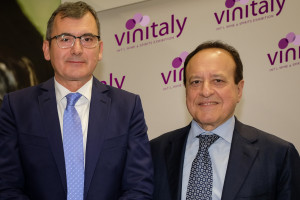 Fiere in crisi: fatturato di settore a -70%. Ma si guarda avanti: i piani Veronafiere e Vinitaly Fiere in crisi: fatturato di settore a -70%. Ma si guarda avanti: i piani Veronafiere e Vinitaly