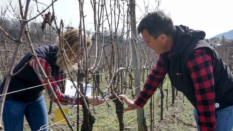 Giudici in azione a valutare i tagli dei concorrenti