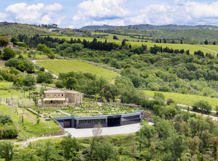 La Tenuta Luce di Frescobaldi, a Montalcino