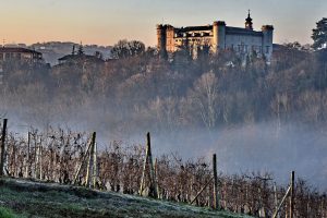 La Barbera d’Asti cresce: 220.000 ettolitri e +6,4% di imbottigliato, 50% all’export, nel 2019