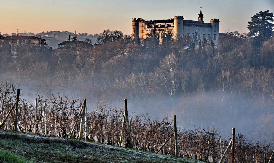 I vigneti di Barbera dominati dal Castello di Costigliole d’Asti