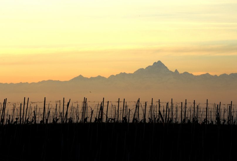 I vigneti di Alba, nelle Langhe, uno dei 42 Comuni “Spiga Verde“ d’Italia
