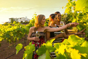 Buy Tourism Online 2020: social e cantine, case history e promozione Buy Tourism Online 2020: social e cantine, case history e promozione