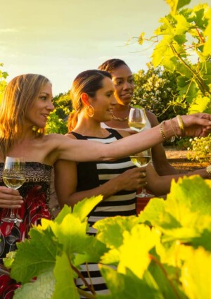 Enoturismo, nelle cantine strutturate +16,8% di visitatori e +21,4% di vendite dirette all&rsquo;anno