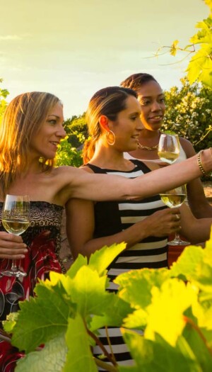 Enoturismo, nelle cantine strutturate +16,8% di visitatori e +21,4% di vendite dirette all&rsquo;anno