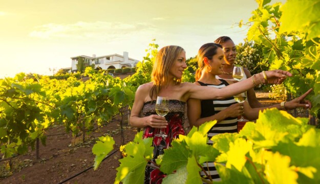 Enoturismo, nelle cantine strutturate +16,8% di visitatori e +21,4% di vendite dirette all&rsquo;anno