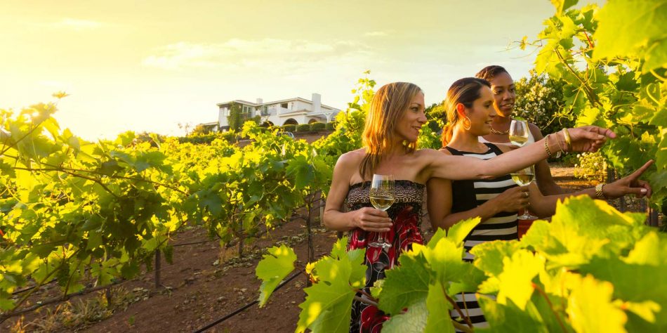 L’enoturismo asset competitivo delle cantine italiane