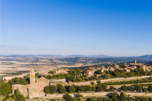 I Quaderni di WineNews - Il Brunello di Montalcino