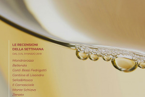 I Vini di WineNews - N. 39