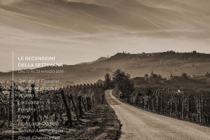 I Vini di WineNews - N. 41