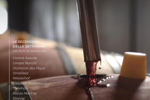 I Vini di WineNews - N. 42