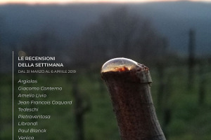 I Vini di WineNews - N. 43