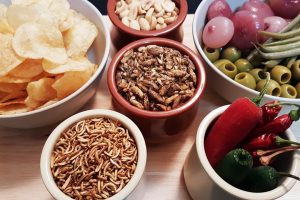 Il futuro del sistema alimentare e gli insetti, ricchi di proteine e a basso impatto ambientale