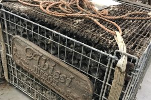 I vini affinati in fondo al mare fanno tendenza