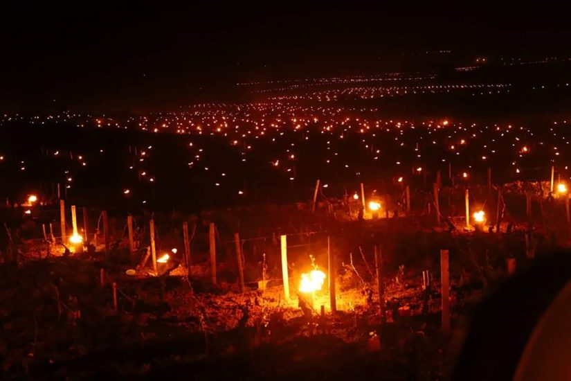 I vigneti della Borgogna illuminati dai fuochi per combattere il gelo (Ph Titouan Rimbault)