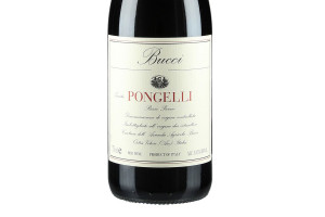 Bucci, Doc Rosso Piceno Tenuta di Pongelli 2016