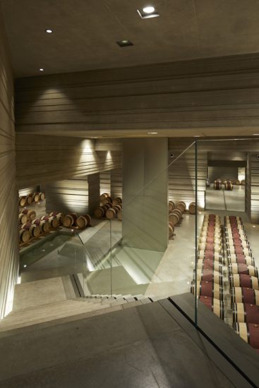 La cantina del Masseto