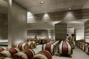 Italian wine companies sentiment: 2019 will be a year of modest growth for wine