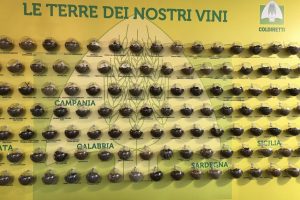 Un’isola caraibica costa meno di un ettaro di vigneto italiano: Coldiretti sulle quotazioni WineNews