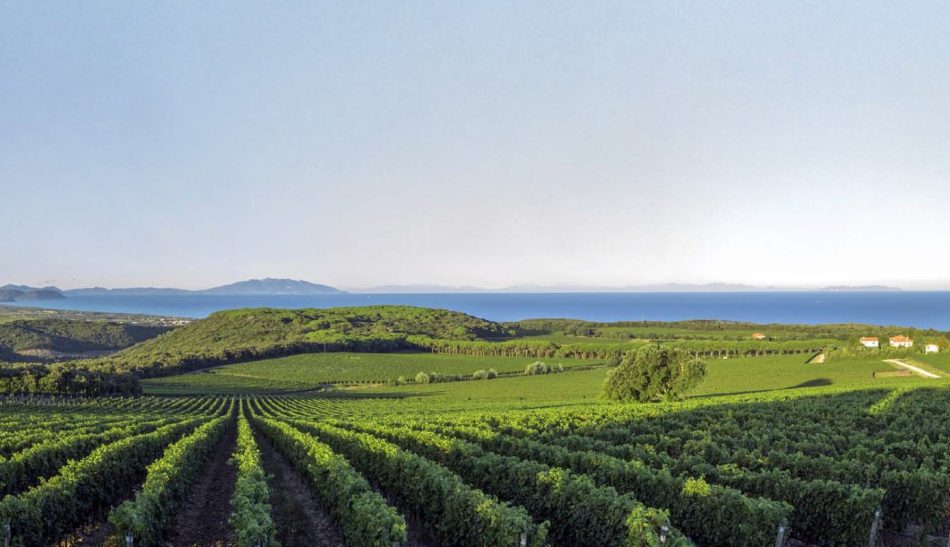 In agenda la primavera dei territori, tra Costa Toscana e Sicilia, e i grandi chef protagonisti del wine & food