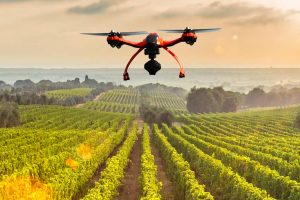 Cia: in cantina e tra i filari i campioni dell’agricoltura hi-tech. Con un occhio al climate change Cia: in cantina e tra i filari i campioni dell’agricoltura hi-tech. Con un occhio al climate change