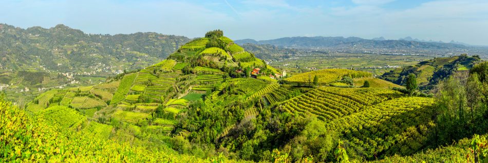La primavera spalanca le porte delle cantine del Belpaese