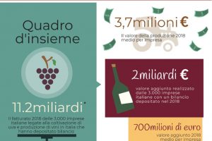 Crescono fatturati e valore aggiunto per le aziende italiane che producono vino e uva