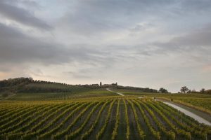 L’ “asso nella manica” del Chianti Classico
