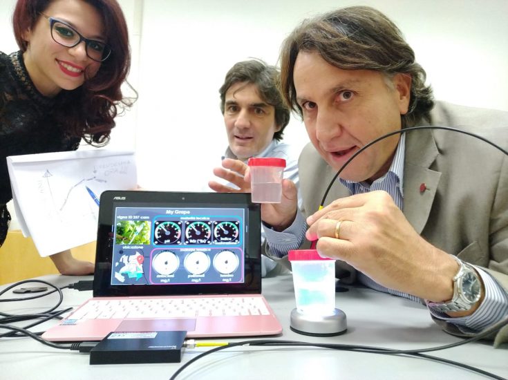 “Sapore di Vino”, il dispositivo portatile ad infrarossi che monitora la vigna in un click