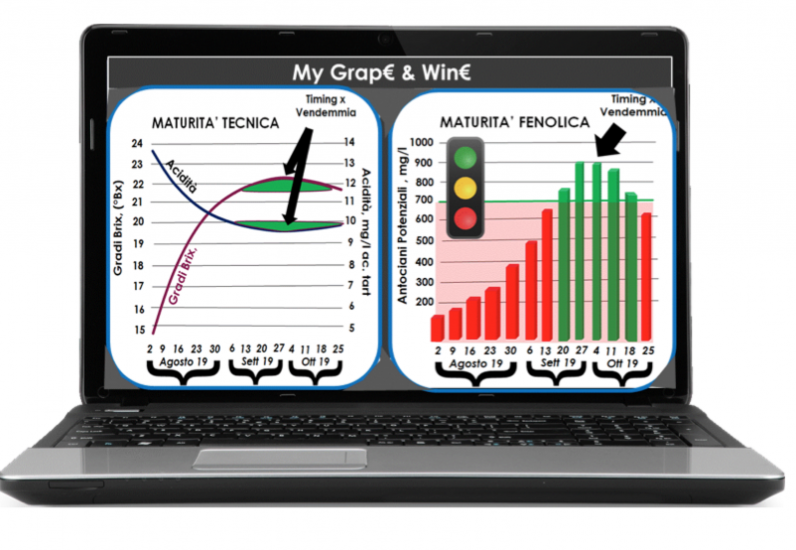 “Sapore di Vino”, il dispositivo portatile ad infrarossi che monitora la vigna in un click