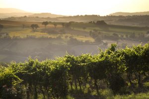 L’Italia è la The World’s Best Wine Country: ad incoronarla l’indagine di Lastminute.com