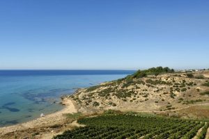 Wine Intelligence: il vino tricolore nel mondo fa rima con Italia, Toscana e Sicilia