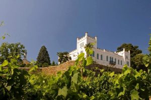 Tenute del Cerro and Villa Russiz, today synergy for the distribution of wines, tomorrow who knows Tenute del Cerro and Villa Russiz, today synergy for the distribution of wines, tomorrow who knows