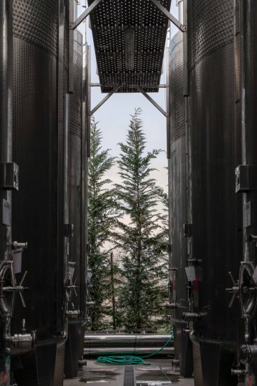 “Vino. Oltre gli oggetti“, in mostra a Milano presso Bottega Immagine dall’8 al 18 aprile