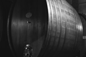 Zenato ed Accademia di Belle Arti di Brera, al via la mostra fotografica “Vino. Oltre gli Oggetti”