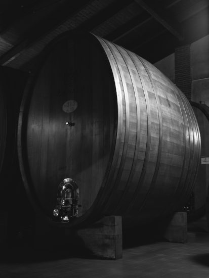 “Vino. Oltre gli oggetti“, in mostra a Milano presso Bottega Immagine dall’8 al 18 aprile